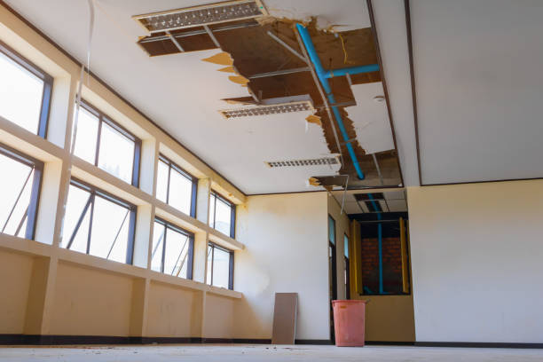 Best Residential water damage restoration  in , CO