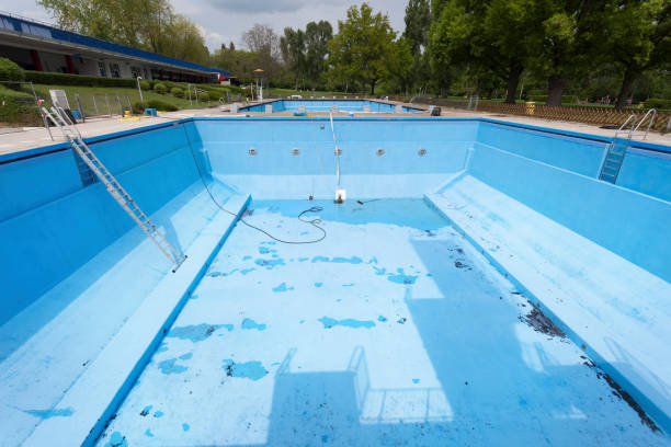 Best Professional water damage repair  in , CO