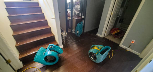 Best Commercial water damage restoration  in , CO