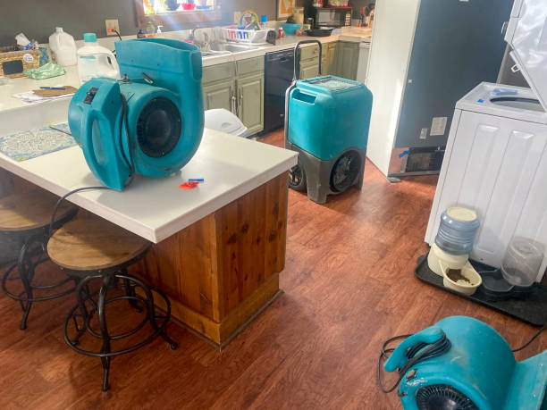 Best 24/7 water damage repair  in , CO
