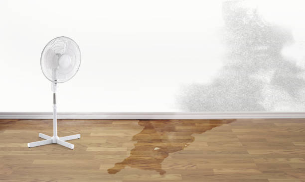  , CO Water damage restoration Pros