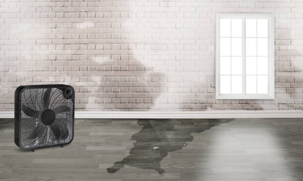 Best 24-hour water damage restoration  in , CO