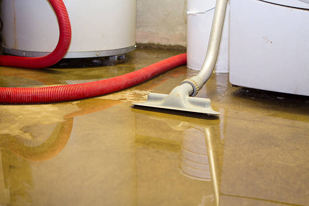 Best Water damage restoration experts  in , CO