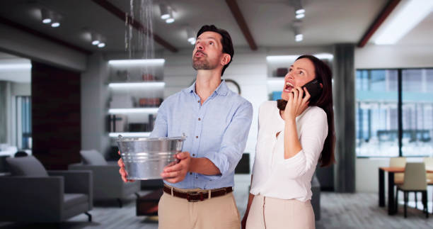 Best Basement water damage restoration  in , CO